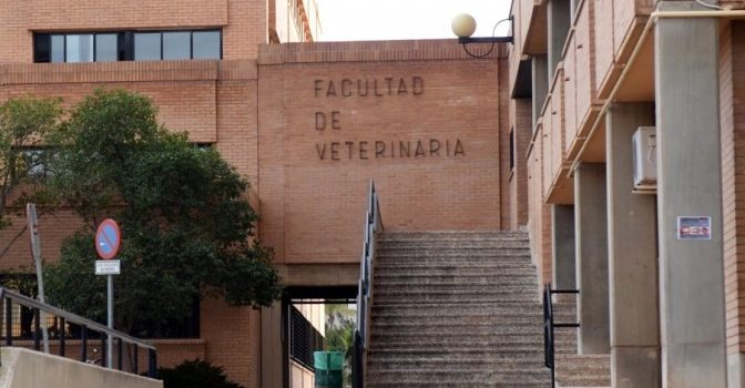 Control de ruido. Facultad de Veterinaria